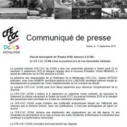 Plan de Sauvegarde de l’Emploi (PSE) annoncé à DCNS : la CFE-CGC DCNS a fixé sa position lors de son Assemblée Générale